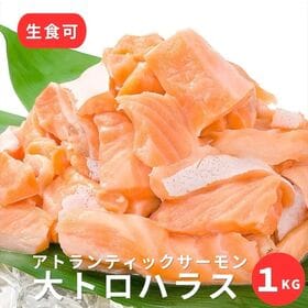 ノルウェー産「アトランティックサーモン 大トロ ハラス」1k...