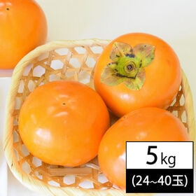 【予約受付】10/15~順次出荷【5kg(24-40玉入り)】山形県庄内産 無選別 庄内柿 ※種なし