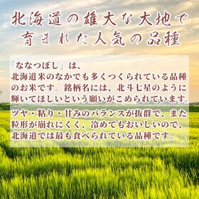 【10kg(5kg×2袋)】ななつぼし(精白米) 北海道産 令和6年産