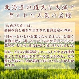 【10kg(5kg×2袋)】ゆめぴりか(精白米) 北海道産 令和6年産