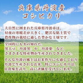 【10kg(5kg×2袋)】コシヒカリ(精白米) 丹波産 令和6年産