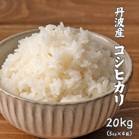 【20kg(5kg×4袋)】コシヒカリ(精白米) 丹波産 令和6年産 | ふっくらつやつやモチモチほんのり甘い♪定番のコシヒカリ★冷めても美味しい！工場直送で新鮮