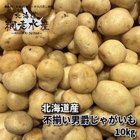 【予約受付】10月上旬~順次出荷　北海道産 不揃い男爵じゃがいも　10kg | 煮崩れしにくく水っぽさのない万能じゃがいも