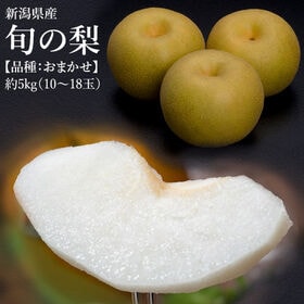 【約5kg/10〜18玉】旬の梨（品種：おまかせ）新潟県産 | シャリっとした食感で甘い汁が滴ります