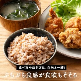 【300g(300g×1袋)】家計お助け米 もち麦ミックス 白米にもち麦をブレンド♪