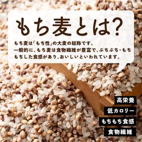 【3kg(1kg×3袋)】家計お助け米 もち麦ミックス 白米にもち麦をブレンド♪