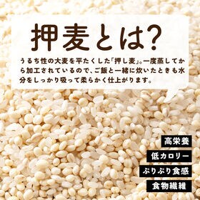 【3kg(1kg×3袋)】家計お助け米 押麦ミックス 白米に押麦をブレンド♪