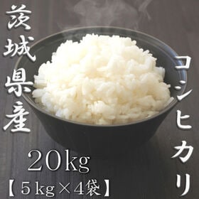 【計20kg/5kg×4袋】新米 令和6年産 茨城県産コシヒカリ 白米