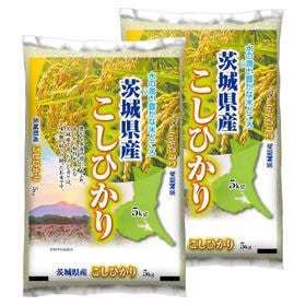 【計10kg/5kg×2袋】新米 令和6年産 茨城県産コシヒカリ 白米 | ご飯を味わうお米!茨城県産コシヒカリ!