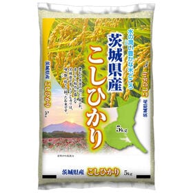 【5kg】新米 令和6年産 茨城県産コシヒカリ 白米 | ご飯を味わうお米!茨城県産コシヒカリ!