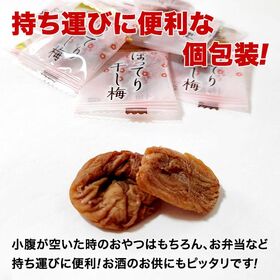 ＜シンプル百科＞【大容量 約1kg(230袋前後)】種なしさわやか干し梅