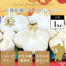 【1kg】鹿児島県産有機ジャンボにんにく | 驚きの大きさ！ニンニク特有のにおいが少ないのに、栄養価が高く美味しい有機健康野菜です。