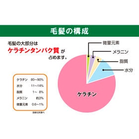 【1本】シンシアシャンプー【シルク＆コラーゲン】美しい髪作りを化学的に考えたスペシャルな1本◎