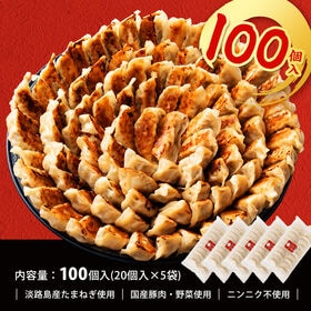 【計100個】淡路島たまねぎたっぷりジューシー餃子 20g×20ヶ×5P