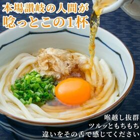 【9食】讃岐生うどん9食セット (麺300g×3袋 )