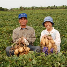 【150g×2パック】九州産 安納芋の半なま干し芋