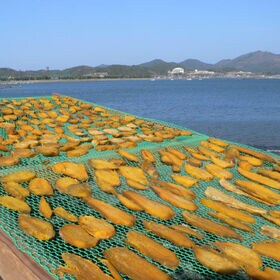 【150g×2パック】九州産 べにはるか飴芋の半なま干し芋