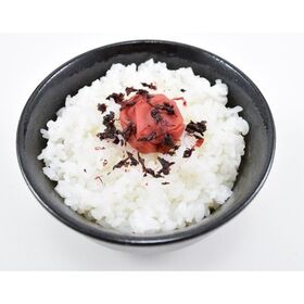 【1kg】紀州南高梅つぶれ かつお梅　500g×2パック