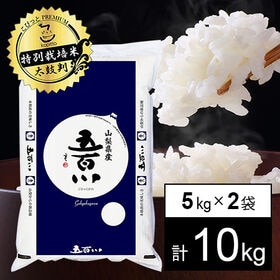 【計10kg/5kg×2袋】新米 令和6年産 特別栽培米 山梨県産 五百川 白米 | やみつきになる安全なお米！水田環境特Aの本格派