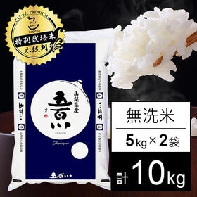 【計10kg/5kg×2袋】新米 令和6年産 特別栽培米 山梨県産 五百川 無洗米 | やみつきになる安全なお米！水田環境特Aの本格派