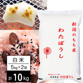 【計10kg/5kgx2袋】新米 令和6年産 おいしいもち米 新潟県産わたぼうし 白米 | こがねもちに負けない高級もち米