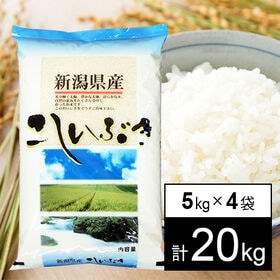 【計20kg/5kgx4袋】新米 令和6年産 越後の米 新潟県産 こしいぶき 白米 | 人気の新潟米です。