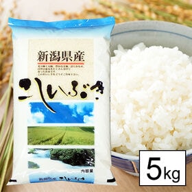 【5kg】新米 令和6年産 越後の米 新潟県産 こしいぶき ...