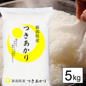 【5kg】新米 令和6年産 越後の米 新潟県産 つきあかり 白米 | 令月にして大粒で艶やかなお米