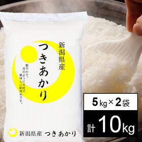 【計10kg/5kgx2袋】新米 令和6年産 越後の米 新潟県産 つきあかり 白米 | 令月にして大粒で艶やかなお米