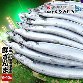 【計約1kg/9~10尾入】鮮度抜群！北海道根室産 鮮さんま...