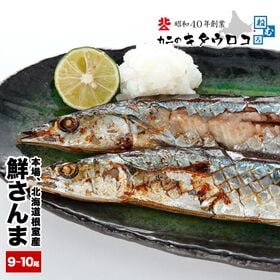 【計約1kg/9~10尾入】鮮度抜群！北海道根室産 鮮さんま ※冷蔵