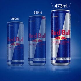 【賞味期限間近】大容量！473ml×12本｜レッドブル  RedBull エナジードリンク