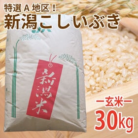 【30kg (30kg×1袋)】令和6年産 新米  玄米 大...