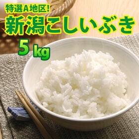 【5kg×1袋】令和6年産 新米  大人気 新潟県上越産こし...