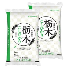 【計10kg(5kg×2袋)】新米 令和6年産 栃木県産コシヒカリ 白米