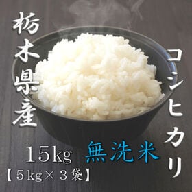 【計15kg(5kg×3袋)】新米 令和6年産 栃木県産コシヒカリ 無洗米