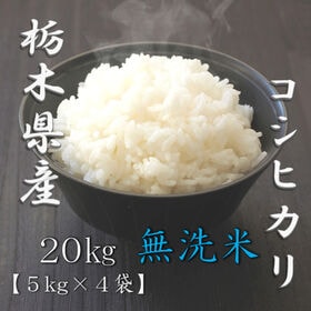 【計20kg(5kg×4袋)】令和6年産 栃木県産コシヒカリ 無洗米