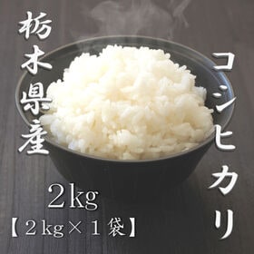 【2kg】新米 令和6年産 栃木県産コシヒカリ 白米