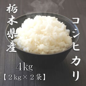 【計4kg/2kg×2袋】新米 令和6年産 栃木県産コシヒカリ 白米