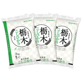 【計6kg/2kg×3袋】新米 令和6年産 栃木県産コシヒカ...