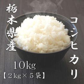 【計10kg/2kg×5袋】新米 令和6年産 栃木県産コシヒカリ 白米