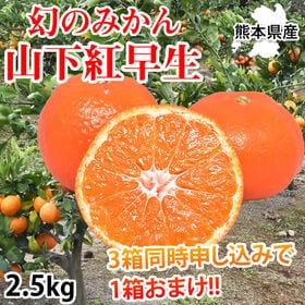 【予約受付】11/22~順次出荷【2.5kg】山下紅早生みかん 熊本県産