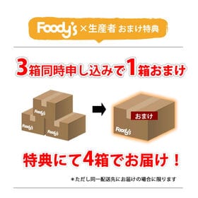 【予約受付】11/22~順次出荷【2.5kg】山下紅早生みかん 熊本県産