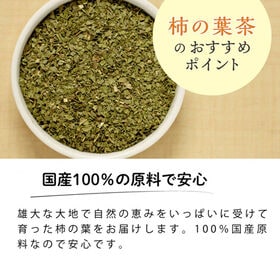 【2.5g×50包入】 国産 柿の葉茶 ティーバッグ ノンカフェイン かきの葉茶 健康茶