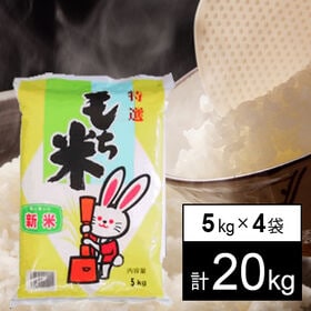 【計20kg/5kgx4袋】令和6年産 もち米 山形県産 ヒメノモチ 白米 | 山形県のおいしいもち米の代表品種。おこわ・お団子・お餅・お供え・おはぎになります。