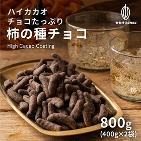 【800g(400g×2)】チョコたっぷり柿の種チョコ | チョコレートの甘さと、柿の種の辛さがベストマッチ！分厚めのリッチチョコレート仕様！