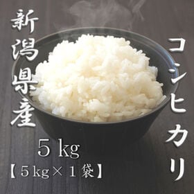 【5kg】新米 令和6年産 新潟県産コシヒカリ 白米