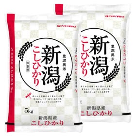 【計10kg/5kg×2袋】新米 令和6年産 新潟県産コシヒカリ 白米 | 言わずと知れた人気のお米!! 新潟県産 コシヒカリ