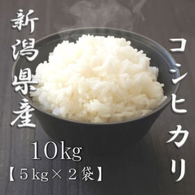 【計10kg/5kg×2袋】新米 令和6年産 新潟県産コシヒカリ 白米