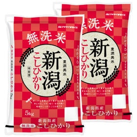 【計10kg/5kg×2袋】新米 令和6年産 新潟県産コシヒカリ 無洗米 | 言わずと知れた人気のお米!! 無洗米 新潟県産 コシヒカリ